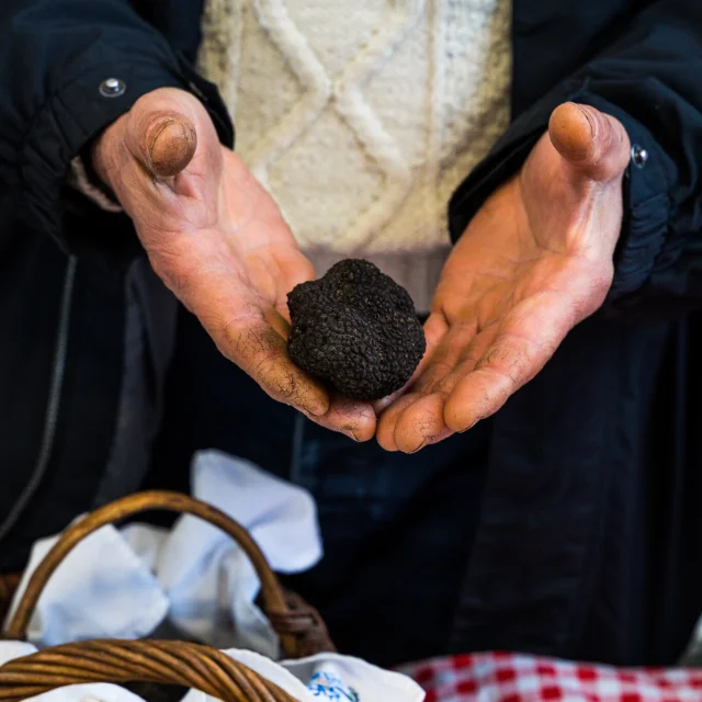 Marché aux truffes de Gourdon