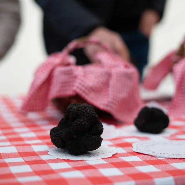 Marché aux truffes 2024