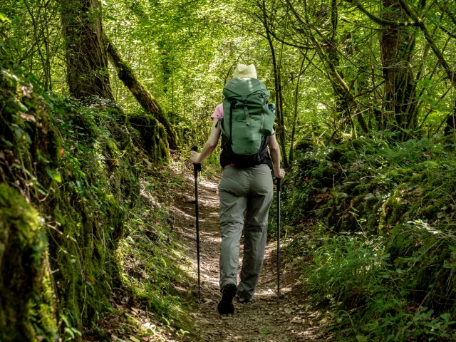 Chemin de Compostelle, voie du Célé