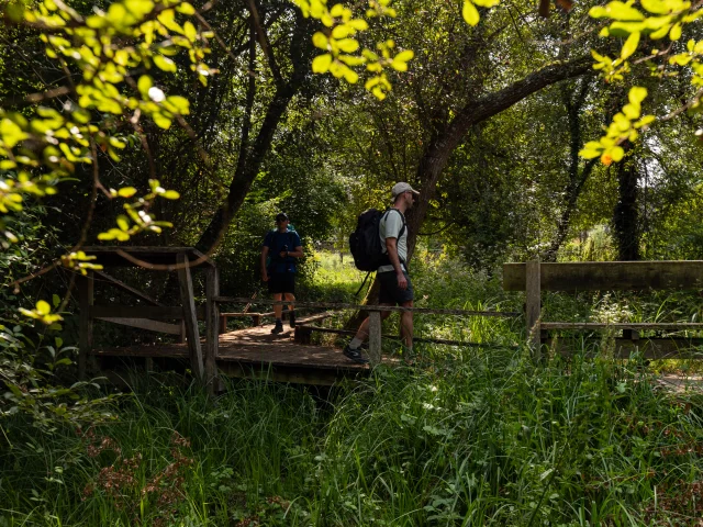 Randonneurs sur le GR 652