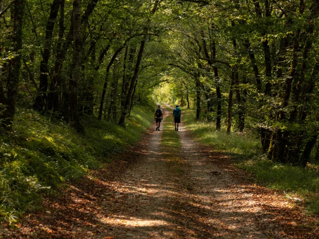 Randonneurs sur le GR 652 en Bouriane