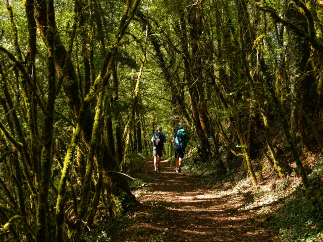 Randonneurs sur le GR 652 en Bouriane