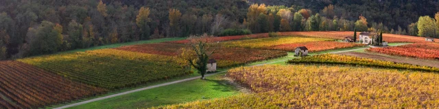 Vignoble de Cahors en automne à Luzech