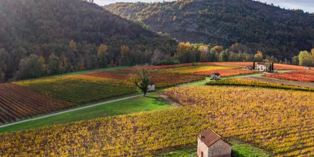 Vignoble de Cahors en automne à Luzech