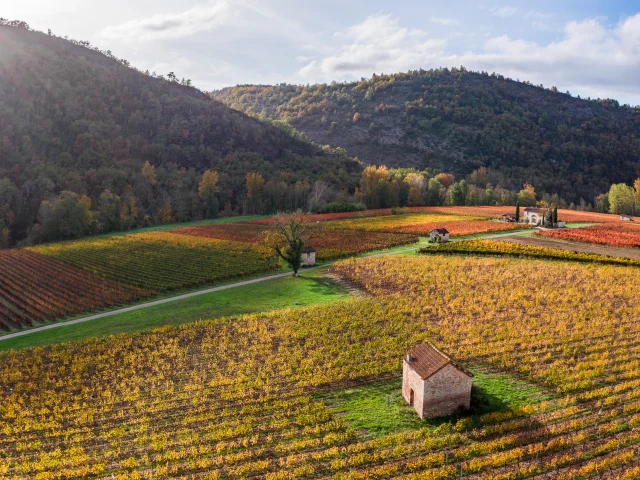 Vignoble de Cahors en automne à Luzech