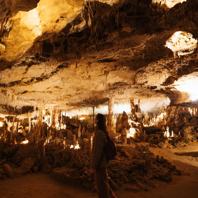 Visite des grottes de Cougnac